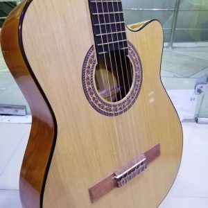 گیتار هافنر ایرانی