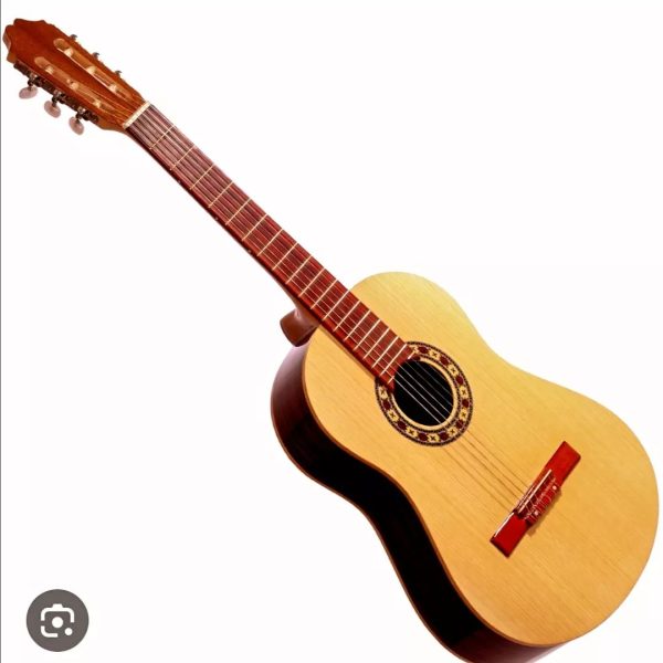 گیتار استاد ساز رزونانس